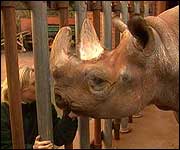 Sita meeting the public