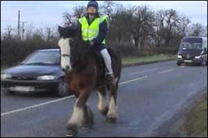 Riding a horse along a road