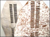 Dr David Glynne-Fox's Zulu shields