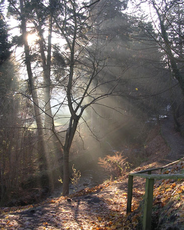 Lade Braes walk, St Andrews