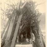George Brighton, Malcolm Carter, Denis Croxton and their VE Day bonfire, Hitchin