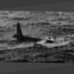 Our Ditched Wellington in the Med . 24th, May 1941