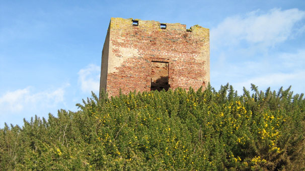 Watch tower and bloom