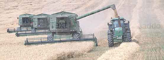 Keep your English up to date - GM