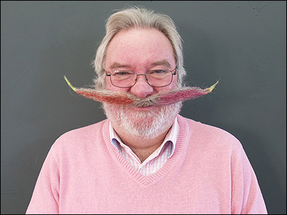 Peter Kitchen Creative Designer