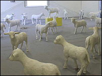 Stephen Davis' sheep