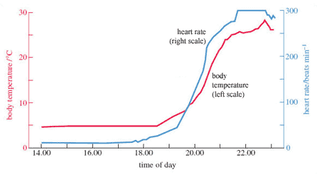 Graph showing changes in body temperature and heart rate as hedgehog rouses temporarily from hibernation