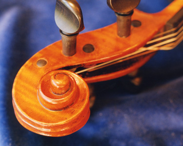 Viola scroll Viola scroll