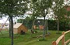 The Orchard Garden