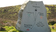 Marker stone