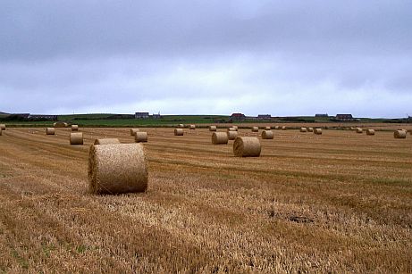 Roondy strae bales