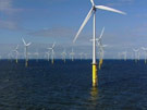 A wind farm at sea
