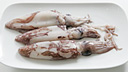 Calamari