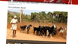 Your pictures on rural