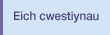 Eich cwestiynau