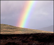 Rainbow over Dartmoor (Pat Trout)