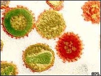 HIV virüsü