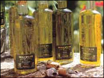 Olive oils