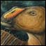 Impressão de artista do 'Gryposaurus monumentensis' (Copyright: Larry Felder)