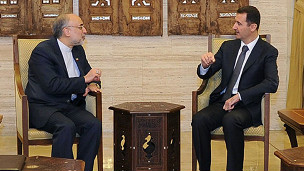الأسد وصالحي 