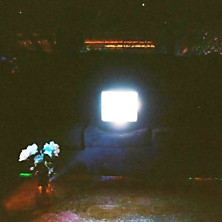 Review of Does it Look Like I’m Here? Review of Does it Look Like I’m Here?