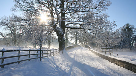 Merthyr Mawr at noon on Monday by Andrew Owen.