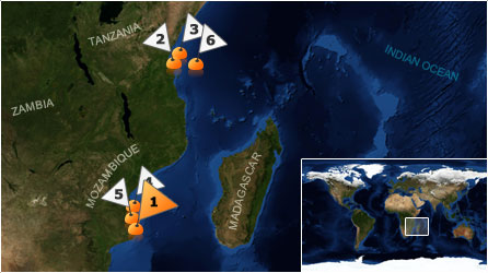 Dive map - Indian Ocean - Site 1