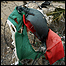 مناطق فلسطینی