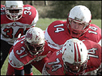 Staffordshire Stallions