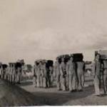 Hudson crashes into petrol dump in the act of taking off on a detachment prior to El Alemein. Photographs of the crash and the burial of the victims. Funeral — Bearing the coffins