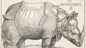 Dürer's 'Rhinoceros'