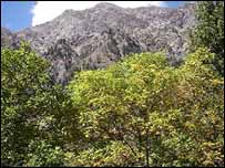 وادئ ناران