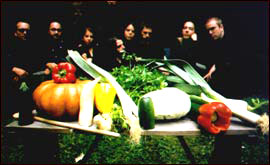 Vienna Vegetable Orchestra 