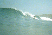 Catman swoops into a right @ Xago