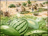 دهندواڼوپالېز