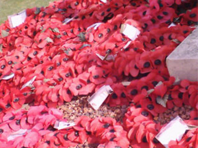 Where have all the soldiers gone?