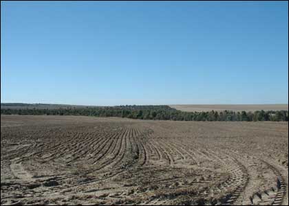 Field that has just been seeded