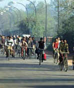 Kolo patří k nejekologičtějším dopravním prostředkům...