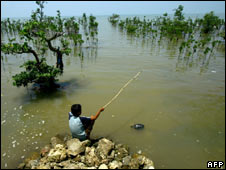 Boy_fishing_in_Bali