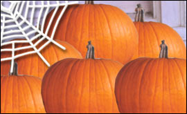 Pumpkins