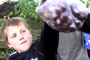 David, Isaac, Ethan and Caleb are collecting conkers in the woods. They've found so many that they're not sure what to do with them all.