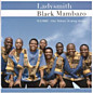 Review of Ilembe - Our Tribute to King Shaka Review of Ilembe - Our Tribute to King Shaka