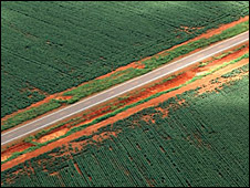 The Amazon Paradox. Credit: BBC / Simon Chirgwin