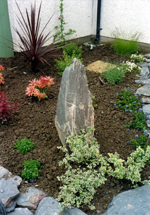 transformed garden