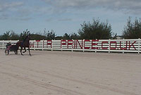Tri Prince