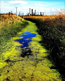 A vivid green stream flows away from industrial Teesside landscape