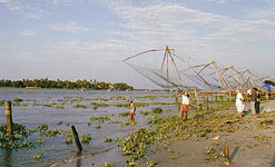Chinese fishing nets on the Periyar River, Kerala, India