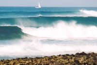 Canary Islands - mart