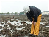 person looking at shore