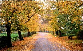 The drive at St John's Beaumont School